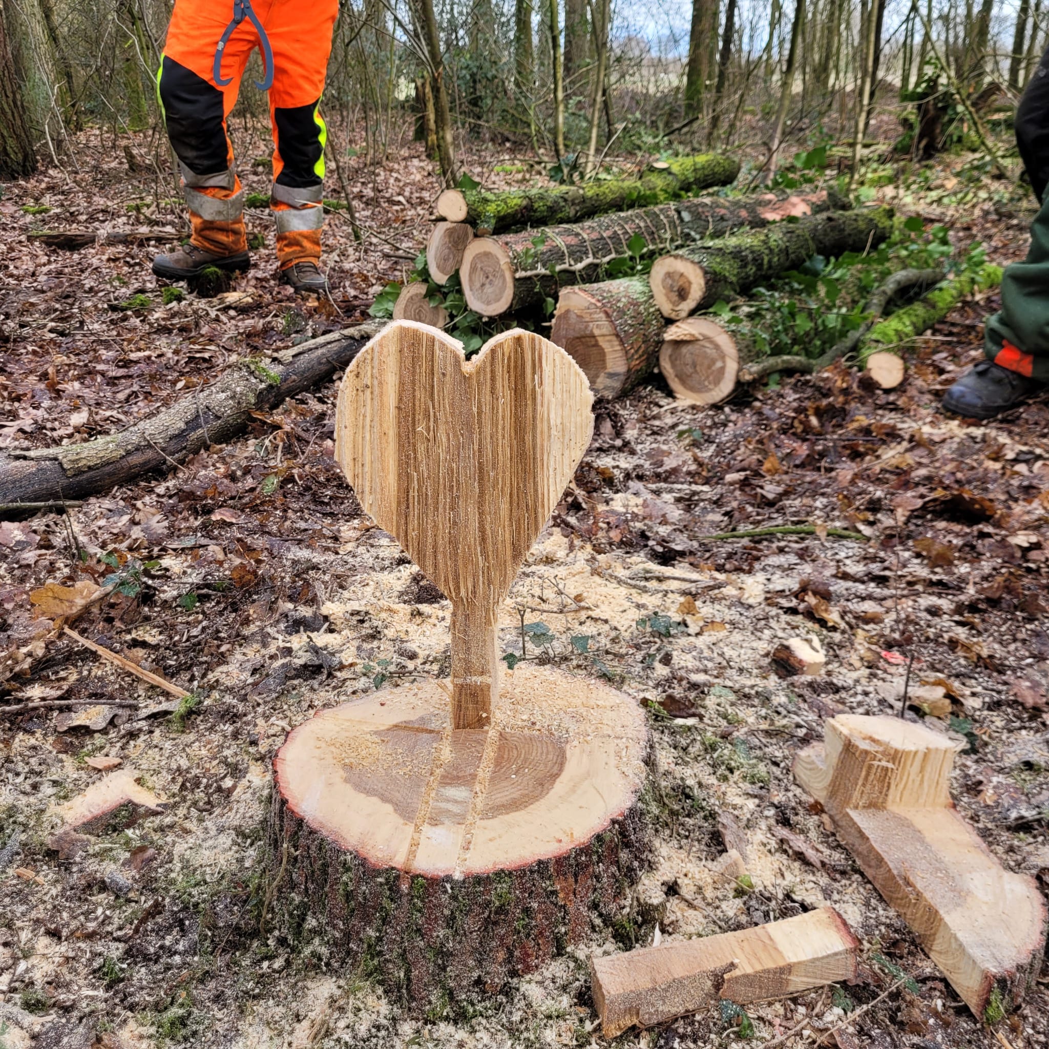 WhatsApp Bild 2025-01-09 um 11.17.25_81e120a0